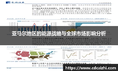 亚马尔地区的能源战略与全球市场影响分析