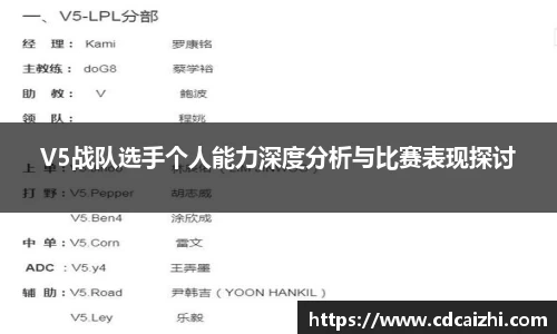 V5战队选手个人能力深度分析与比赛表现探讨